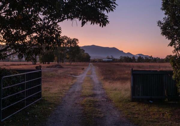 Farm Gate Renewables gate open with kangaroo in background